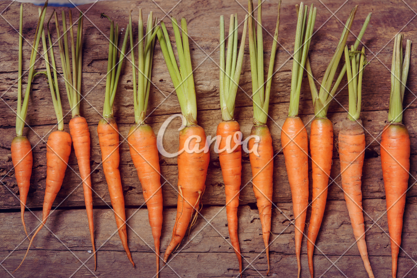 山东省开展涉疫药品和医疗用品稳价保质专项行动