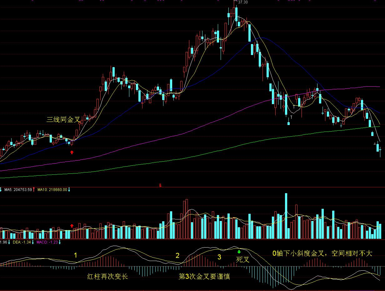“秋冻”“贴秋膘”有讲究！专家回应秋季养生热门话题