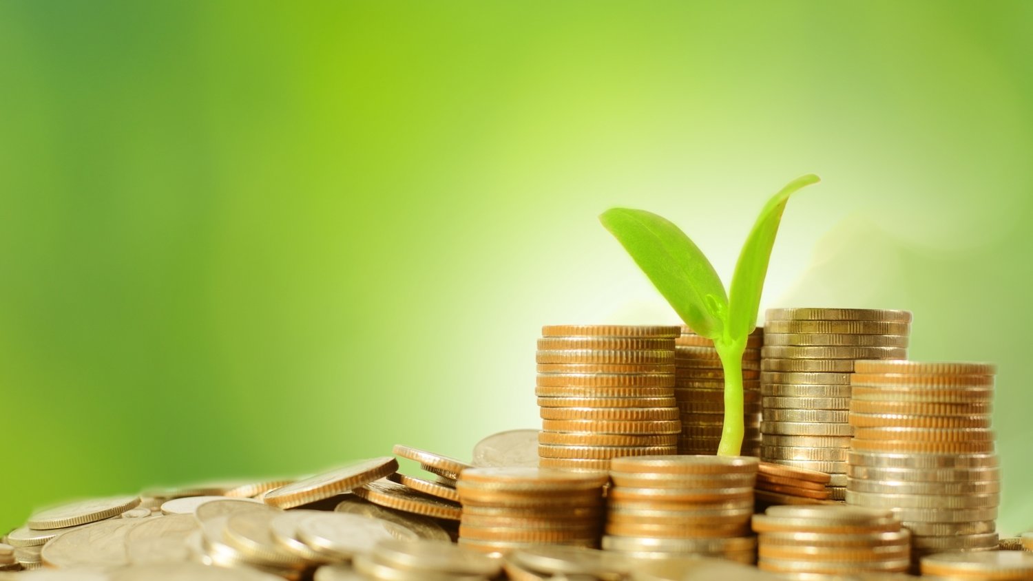 从口岸到赛场，残特奥会澳门赛区打造运动员参赛“无忧之路”