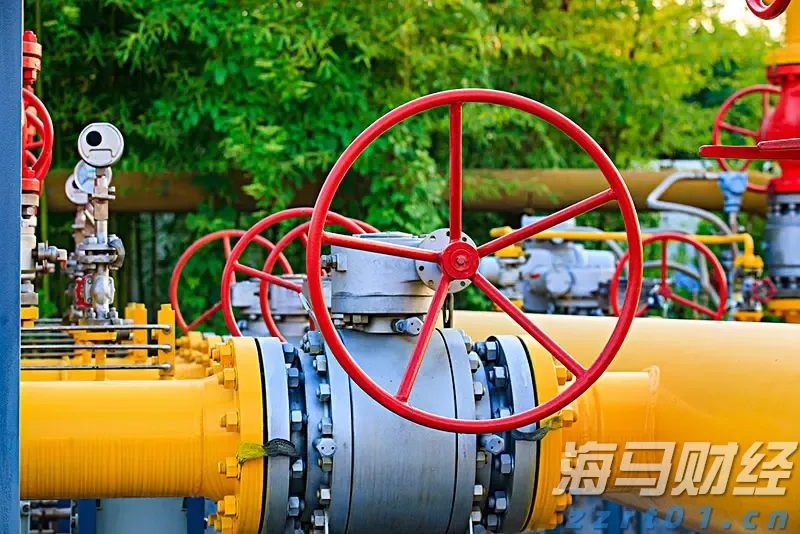 河北省市场监督管理局公布第六十一批市场监管领域违法典型案件