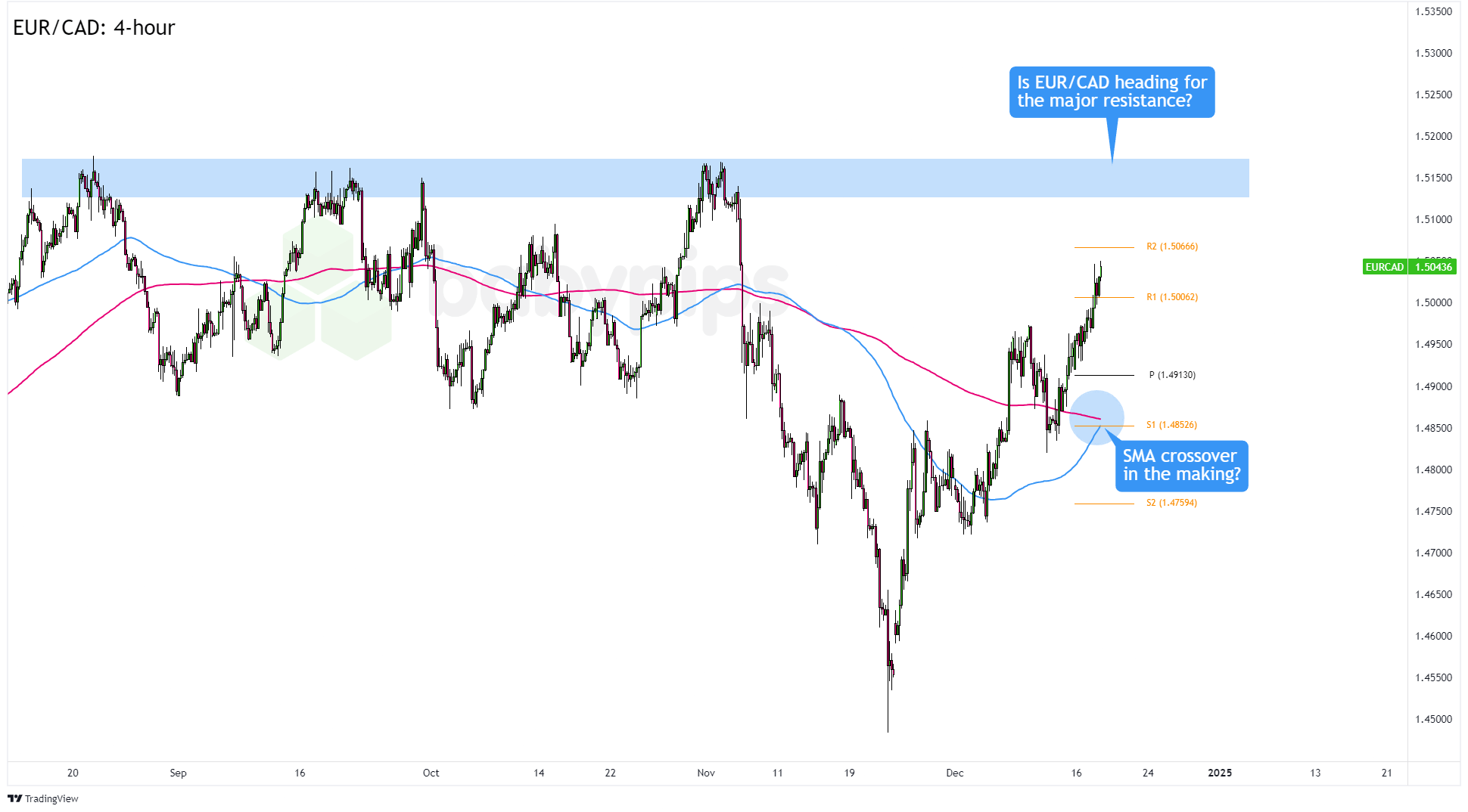 严厉打击！发现请立即举报！